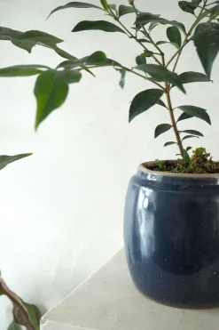 Berit, blå, ø12 cm