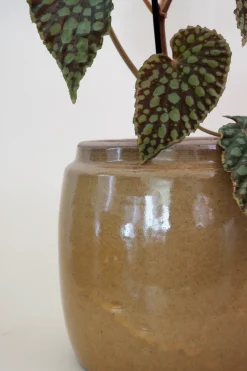 Berit krukken, mustard, ø 22 cm