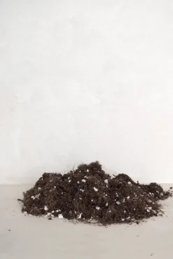 Bundle : Pro omplantning