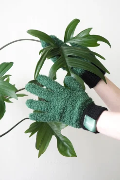 Bundle : Pro plantepleje