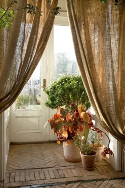 Emilia krukke, raw rosa