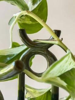 FOLK oni plantestøtte, grøn