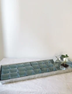 Forspiringsbakke - W.E.T Seed Pot30