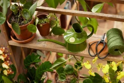 HAWS Vandkande, fern green, 0,5 L