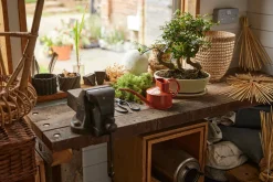 HAWS Vandkande, terracotta orange, 0,5 L