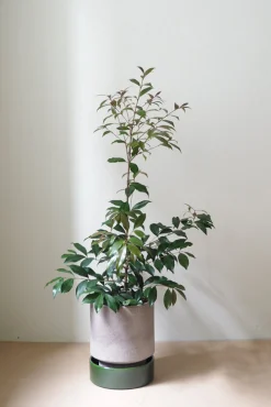 Hoff krukke, raw grey