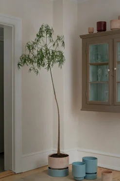 Hoff krukke, raw grey + Misty Blue underskål