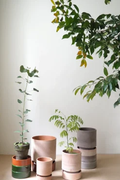 Hoff krukke, raw rosa + grøn underskål