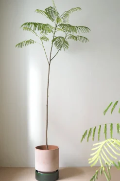 Hoff krukke, raw rosa + grøn underskål, gulvkrukke