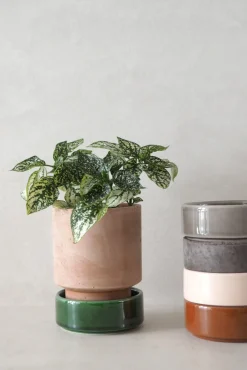 Hoff krukke, raw rosa + raw grey underskål