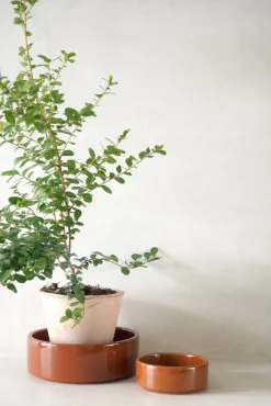 Hoff underskål, glaseret rustrød