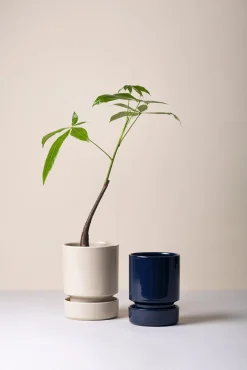 Hoff underskål, glaseret Sandstone