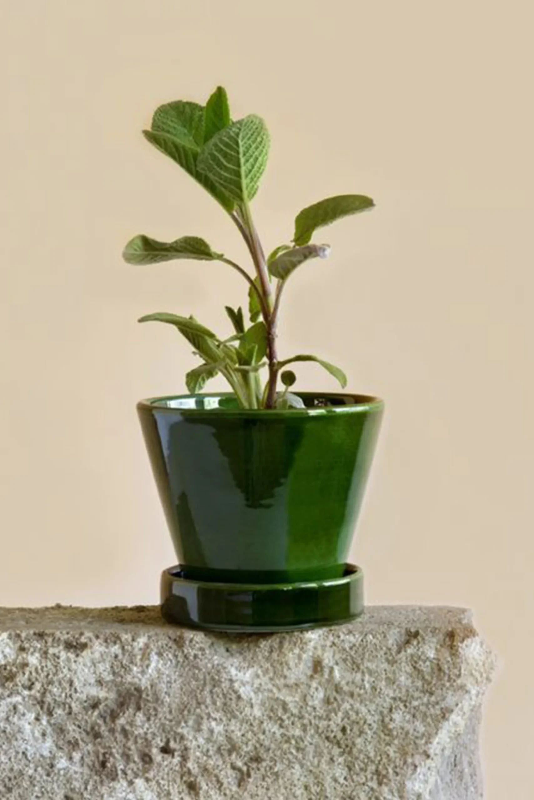 Julie - Emerald Green