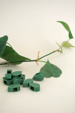 Leafy Clips