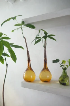 Lykkekastanje Japandi i glas