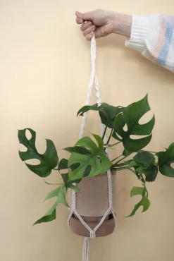 Macramé planteophæng