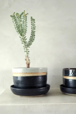 Nina Frigg stor no. 1