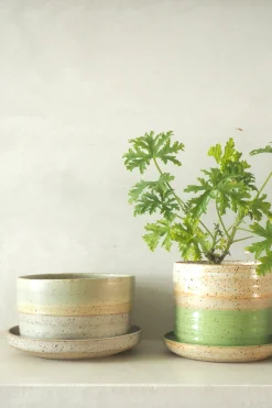 Nina Frigg stor no. 10