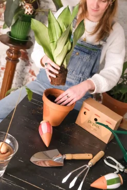 Olla selvvander mini - 3 stk