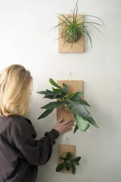 Plantetrofæ, Hjortetak, small