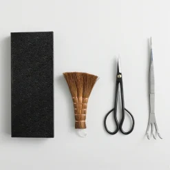Pro Bonsai starter kit