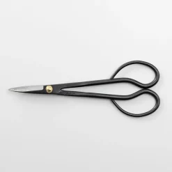 Pro Bonsai starter kit