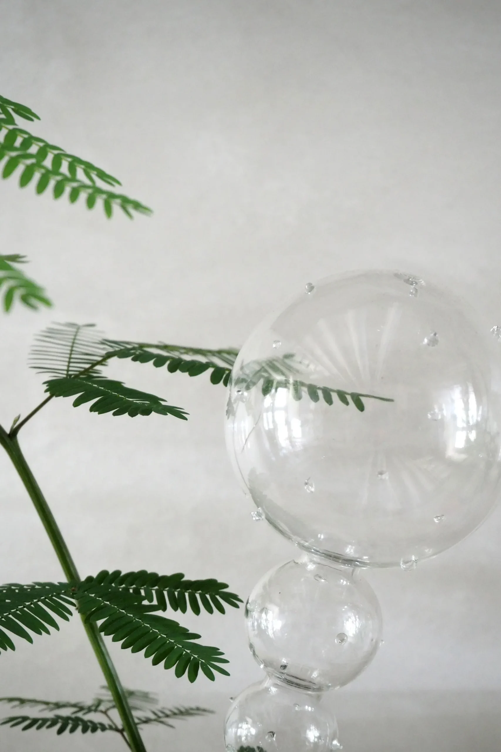 Selvvandingsglas, double dot