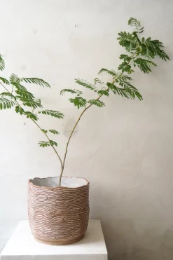 StineMei - Wood brown