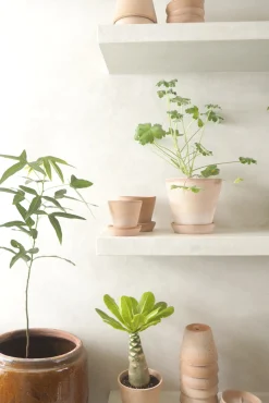 Terracotta krukke - rosa