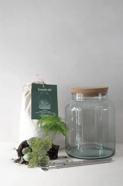 Terrariekit m. glas