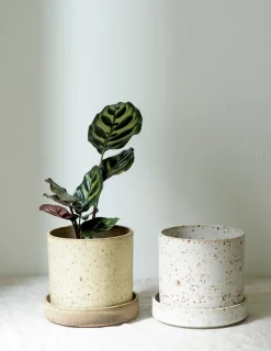 V.O krukke - hvid, small