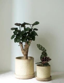 V.O krukke - sand, large